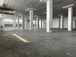 West Coast Gardens (D5), Warehouse #470474431